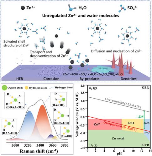 Regulating the relationship between Zn2+ and water molecules in electrolytes for aqueous zinc-based batteries