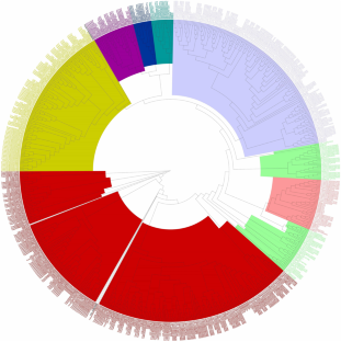 Genome-wide identification of wheat ABC gene family and expression in response to fungal stress treatment