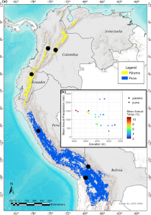 Elevation and temperature are strong predictors of long-term carbon accumulation across tropical Andean mountain peatlands