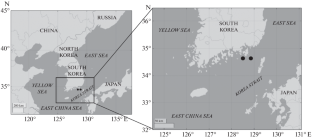 Feeding Habits and Trophic Level of Juvenile Greater Amberjack, Seriola dumereili (Carangidae) in the Southern Waters of Korea