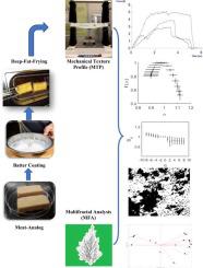 Multifractal analysis of meat-analog based coated fried foods texture profile