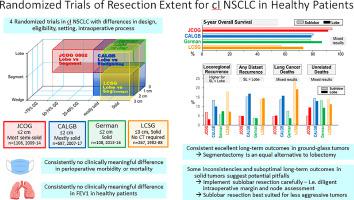 So Now We Know—Reflections on the Extent of Resection for Stage I Lung Cancer