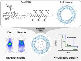 Improved pharmacokinetics and enhanced efficacy of the vancomycin derivative FU002 using a liposomal nanocarrier