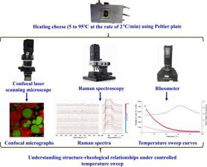 Dynamic in situ microstructure evaluation of cheese melting: Understanding structure-rheological relationships under controlled temperature sweeps