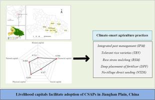 The impact of livelihood capitals on farmers’ adoption of climate-smart agriculture practices: Evidence from rice production in the Jianghan Plain, China