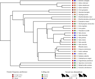 Female preferences for dominant frequency in frogs: constraints and impact on sexual size dimorphism