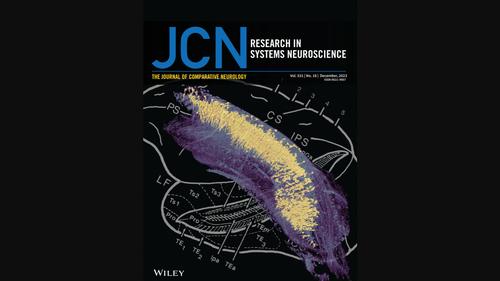 Cover Image, Volume 531, Issue 18