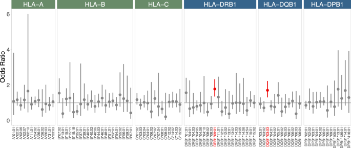 The HLA-DRB1*09:01-DQB1*03:03 haplotype is associated with the risk for late-onset Alzheimer’s disease in APOE $${{\varepsilon }}$$ 4–negative Japanese adults