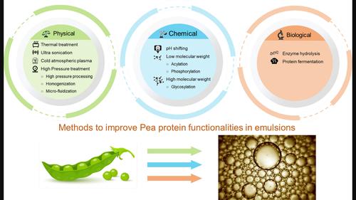 On treatment options to improve the functionality of pea protein