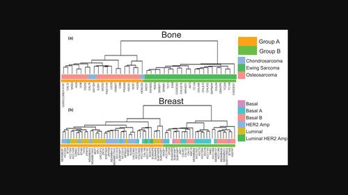 Metastatic potentials classified with hypoxia-inducible factor 1 downstream genes in pan-cancer cell lines