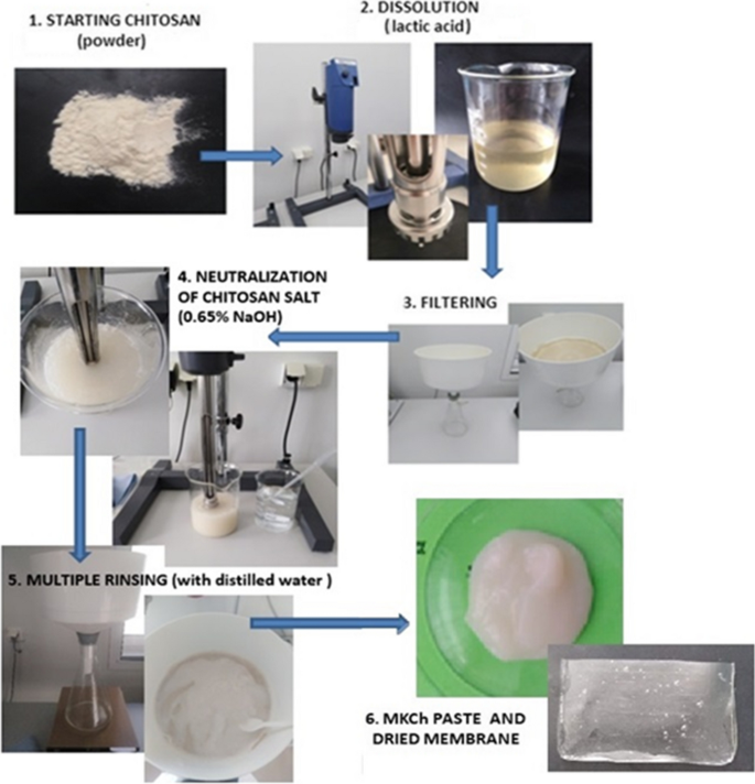 Chitosan-based matrix as a carrier for bacteriophages.