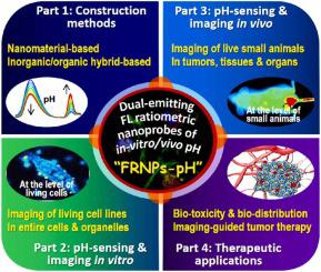 Dual-emitting fluorescence ratiometric nanoprobes of in-vitro/in-vivo pH from constructions to sensing, imaging and therapeutic applications