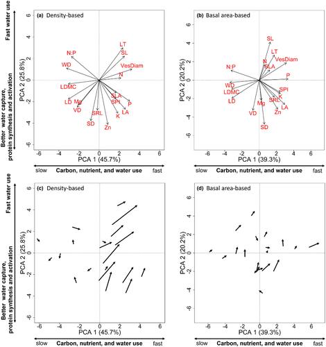 Lianas shift towards larger sizes and more acquisitive trait values in an Asian tropical rainforest