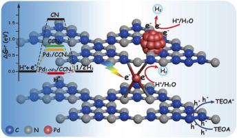 Synergy between palladium single atoms and small nanoparticles co-anchored on carbon atom self-doped graphitic carbon nitride boosting photocatalytic H2 generation