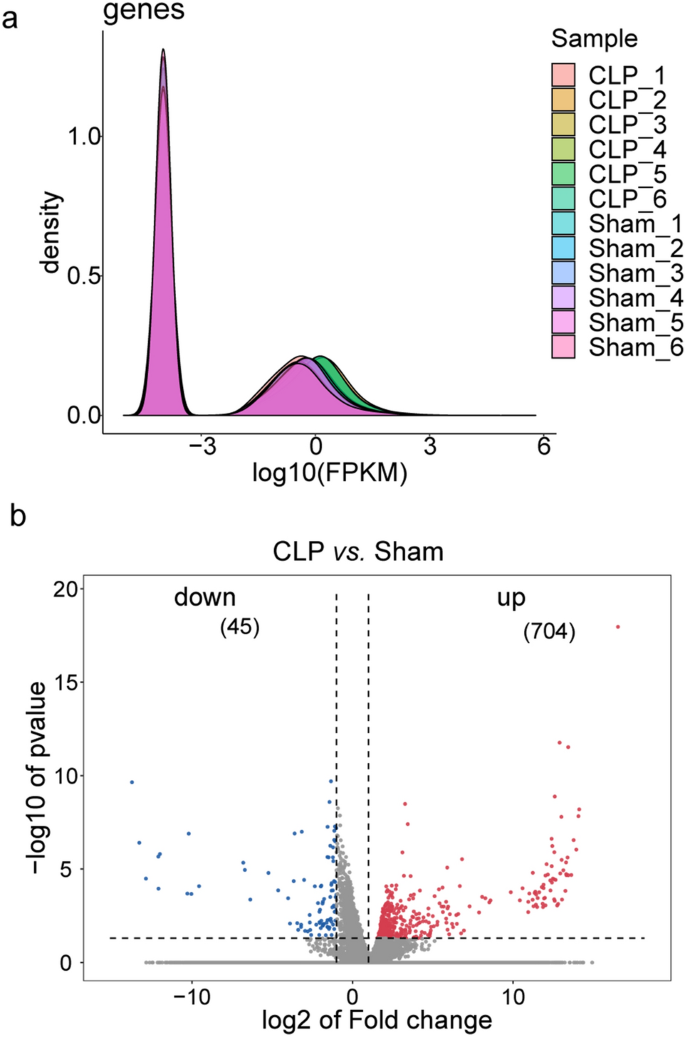 Silenced-C5ar1 improved multiple organ injury in sepsis rats via inhibiting neutrophil extracellular trap