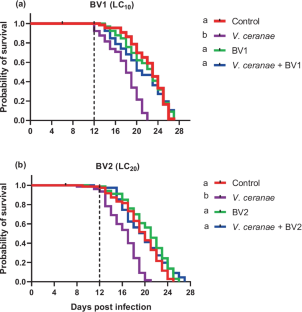 Honey bee venom promotes the immune system and reduces Vairimorpha (Nosema) ceranae infection in honey bees (Apis mellifera L.)