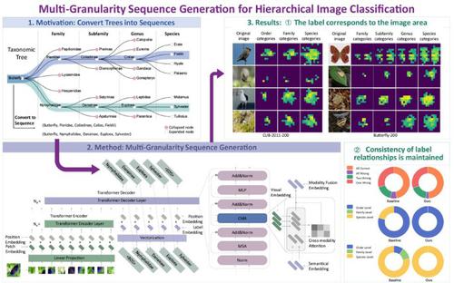 Multi-granularity sequence generation for hierarchical image classification