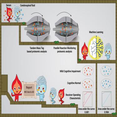 Alzheimer’s disease early diagnostic and staging biomarkers revealed by large-scale cerebrospinal fluid and serum proteomic profiling