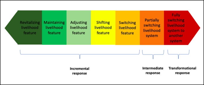 Incremental and transformational adaptation to climate change among Indigenous Peoples and local communities: a global review