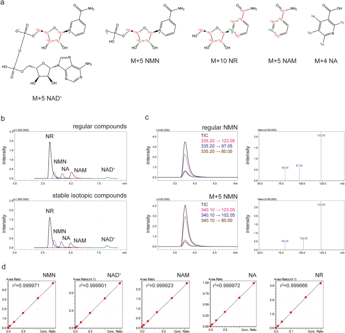 Absolute quantification of nicotinamide mononucleotide in biological samples by double isotope-mediated liquid chromatography-tandem mass spectrometry (dimeLC-MS/MS)