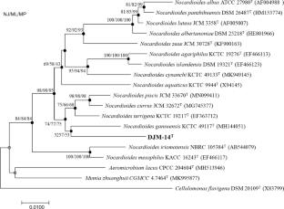 Nocardioides limicola sp. nov., an alkaliphilic alkane degrading bacterium isolated from oilfield alkali-saline soil