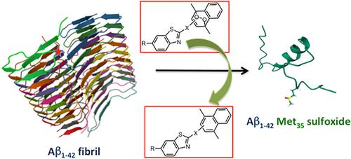 Benzothiazole-endoperoxide conjugates protect PC12 cells against β-amyloid-induced cell death via singlet oxygen mediated oxidative detoxification of fibrils