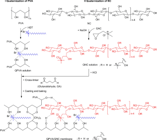 Polyvinyl alcohol/nanocellulose nanocomposites from oil palm empty fruit bunch as anion exchange membranes for direct alcohol-hydrogen peroxide fuel cells