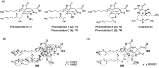 The potentiation activity of β-lactam by phomoidrides and oxasetin against methicillin-resistant Staphylococcus aureus