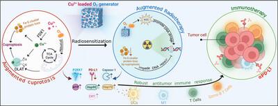 Oxygen-driven cuproptosis synergizes with radiotherapy to potentiate tumor immunotherapy