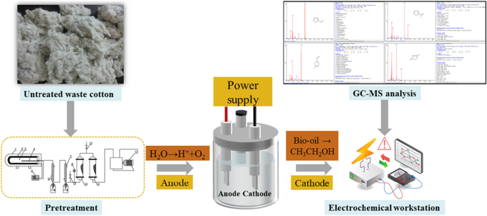 Enhanced bioethanol production by evolved Escherichia coli LGE2-H in a microbial electrolysis cell system