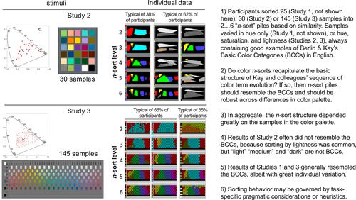 Color sorting and color term evolution