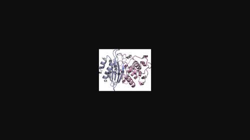 Biochemical and structural characterization of a class A β-lactamase from Nocardia cyriacigeorgica