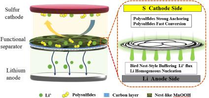 Bifunctional Separator with Nest-like MnOOH Network via Facile In-situ Synthesis for Highly Stable and “Li-dendrite free” Lithium-sulfur Batteries