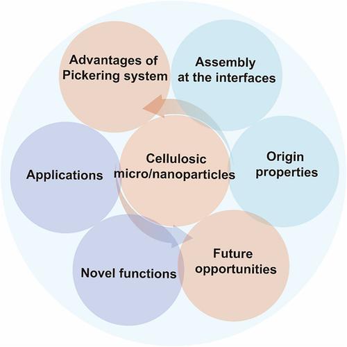 Pickering multiphase materials using plant-based cellulosic micro/nanoparticles