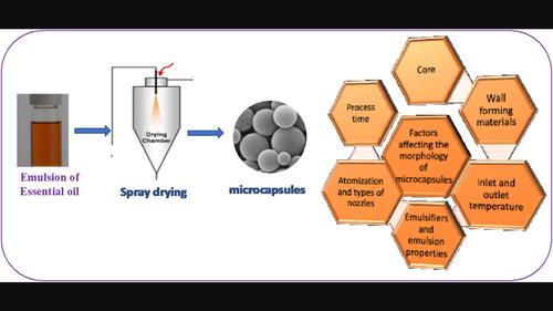 Spray drying encapsulation of essential oils: Insights on various factors affecting the physicochemical properties of the microcapsules