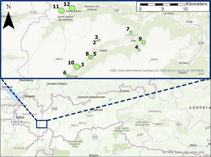 Evaluation of afforestations for avalanche protection with orthoimages using the random forest algorithm