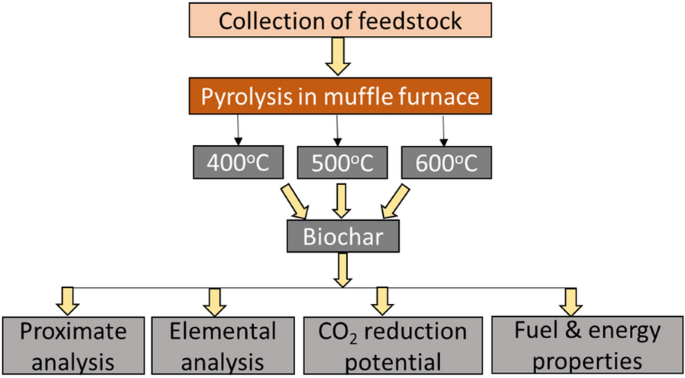 Harnessing the potential of pigeonpea and maize feedstock biochar for carbon sequestration, energy generation, and environmental sustainability