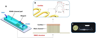 The effect of magnetic bead size on the isolation efficiency of lung cancer cells in a serpentine microchannel with added cavities