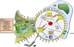 Angiotensin II and post-streptococcal glomerulonephritis.