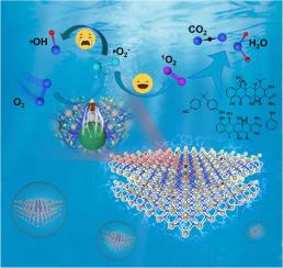 Dual defect regulation of BiOCl halogen layer enables photocatalytic O2 activation into singlet oxygen for refractory aromatic pollutant removal