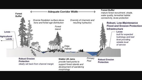 Proactive river corridor definition: Recommendations for a process-based width optimization approach illustrated in the context of the coastal Pacific Northwest