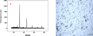 The Modification of Dissolution Kinetics and Solubility of Lysozyme Crystals by Ionic Liquids