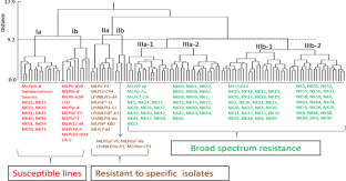 Race specific and non-specific resistance to Magnaporthe oryzae and QTL mapping in wild introgression lines using the standard differential system