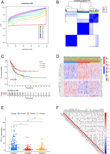 Fatty acid metabolism-related molecular subtypes and a novel model for predicting prognosis in bladder cancer patients