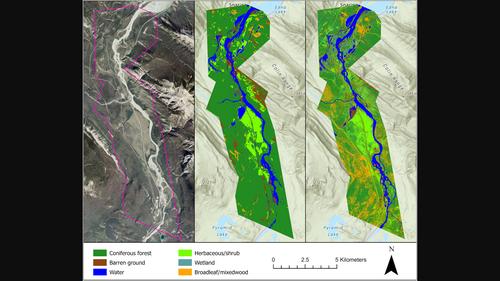 Assessing the accuracy of georeferenced landcover data derived from oblique imagery using machine learning