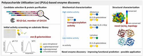 Novel β-galactosidase activity and first crystal structure of Glycoside Hydrolase family 154