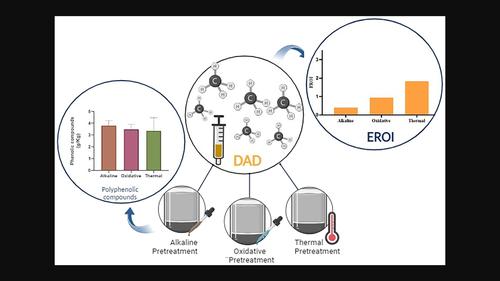 Analysis of energy return on investment of dry anaerobic digestion for low water alperujo with oxidative, thermal and alkaline pretreatments