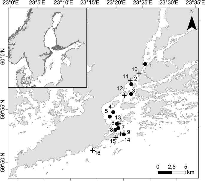 Linking Resource Quality and Biodiversity to Benthic Ecosystem Functions Across a Land-to-Sea Gradient