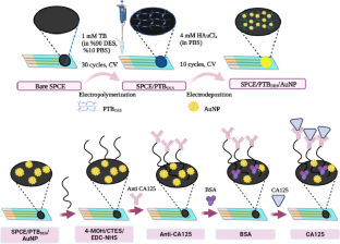 A disposable impedimetric immunosensor for the analysis of CA125 in human serum samples