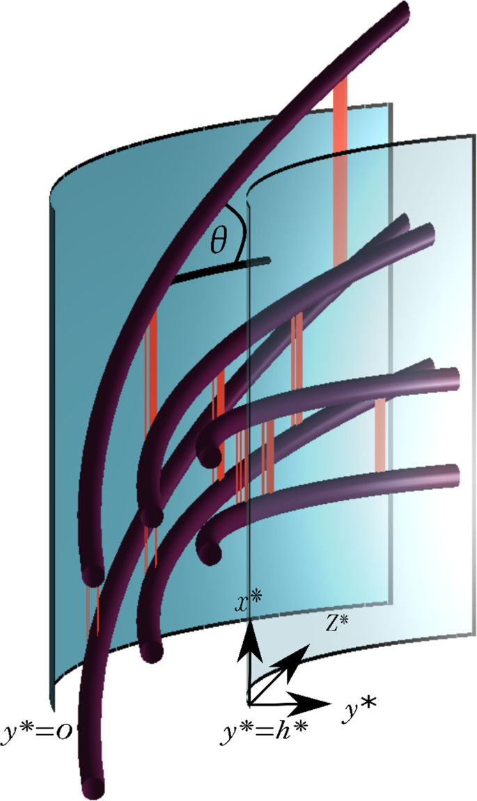 A continuum mechanics model of the plant cell wall reveals interplay between enzyme action and cell wall structure